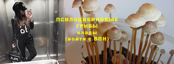 ALPHA PVP Богородицк