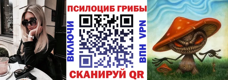 Псилоцибиновые грибы GOLDEN TEACHER  купить закладку  Жуковский 